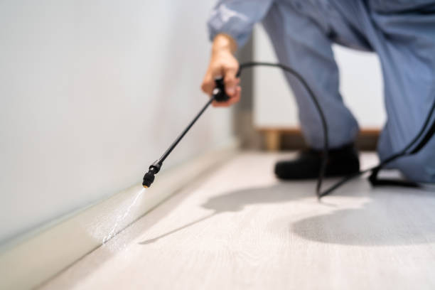Licensed Mosquito Control service in Broadway, VA - Show Me Pest Control