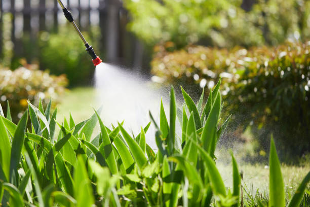 24/7 Emergency Mosquito Control experts in Broadway, VA