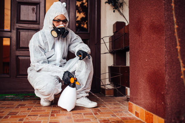 Reliable Mosquito Control contractor in Broadway, VA by Show Me Pest Control