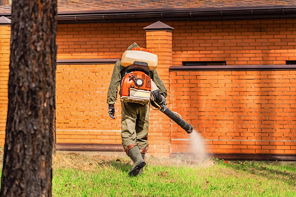 Top rated local Mosquito Control specialists in Broadway, VA
